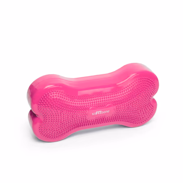 FitPAWS K9FITbone® - Regular, Razzleberry