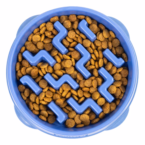 Outward Hound Medium Slow Feeder Bowl