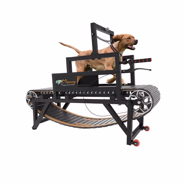 Dog Treadmill with Disc Brake & Slatmill