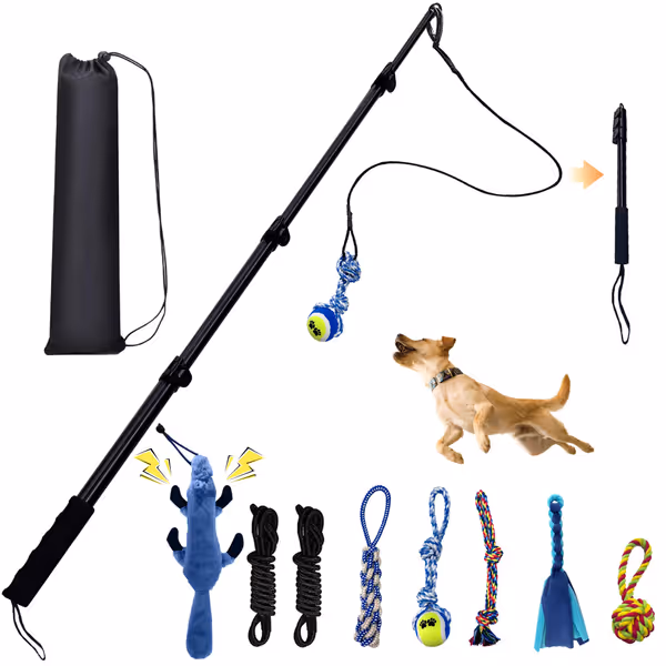 Flirt Pole for Dogs